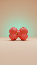 Coral Red Design Pet Toy